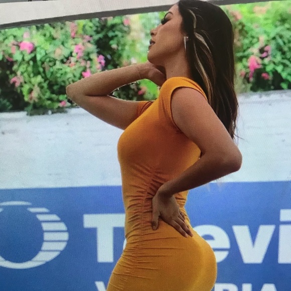 Meet your Posher, Zoey - Picture 1 of 1